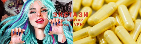 индика Горняк