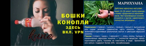 индика Горняк
