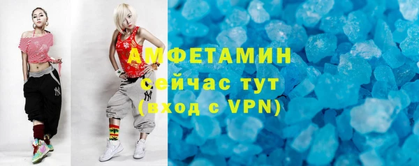 индика Горняк