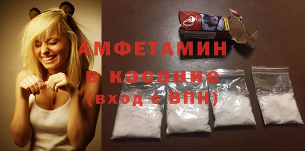 индика Горняк