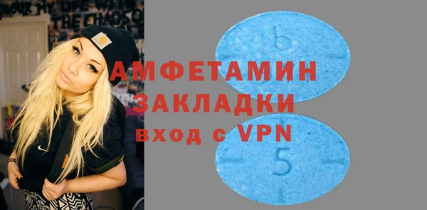 индика Горняк