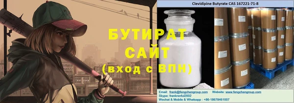 индика Горняк
