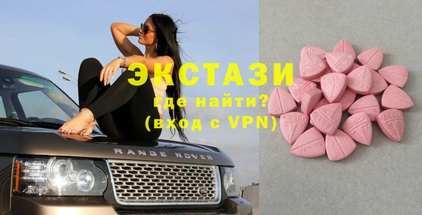 индика Горняк