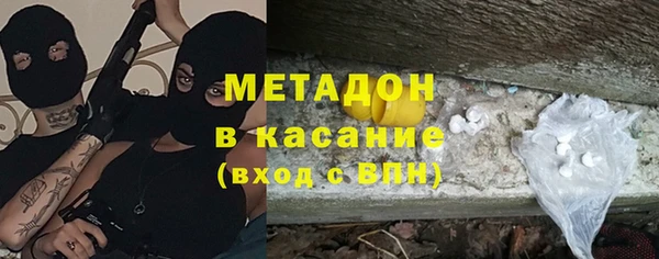 индика Горняк